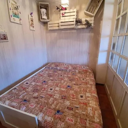 Amy House *